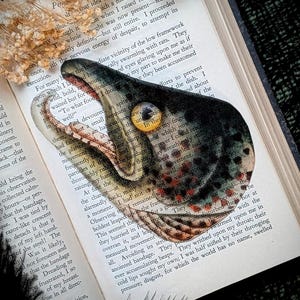May include: A bookmark featuring a detailed illustration of a fish head with an open mouth, set against the backdrop of an open book. The bookmark has a vintage, antique aesthetic.