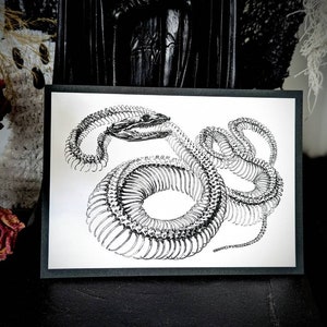 5x7 Art Print Snake Skeleton Goth Gothic Horror Halloween Home Wall Decor Gift Weird Dark Occult Nature