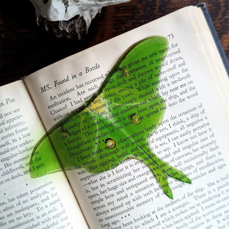 Clear Bookmark Green Luna Moth Goth Dark Academia Cottagecore Fairy Witch Nature Bug Insect Butterfly Handmade Artist Book Reader Lover Gift image 4