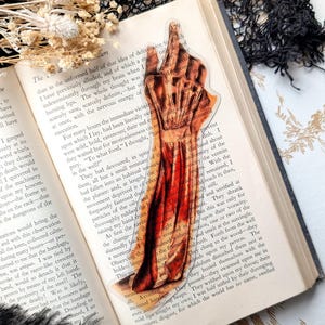 May include: A clear sticker featuring a detailed anatomical illustration of a human arm and hand, with visible muscles and tendons. The sticker is placed on a page of a book with text.