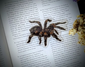 Clear Bookmark Vintage Tarantula Spider Arachnid Desert Nature Dark Academia Fairycore Cottagecore Witchcore Handmade Artist