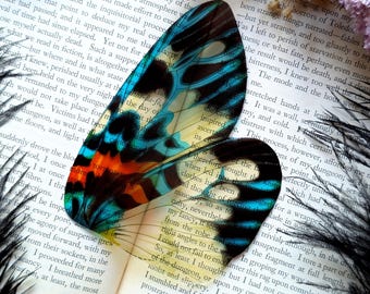 Clear Bookmark Vintage Illustration E.A. Seguy Moth Wing Insect Bug Nature Dark Academia Handmade Art Book Reader Lover Gift Handmade Artist
