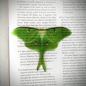 Clear Bookmark Green Luna Moth Goth Dark Academia Cottagecore Fairy Witch Nature Bug Insect Butterfly Handmade Artist Book Reader Lover Gift image 2