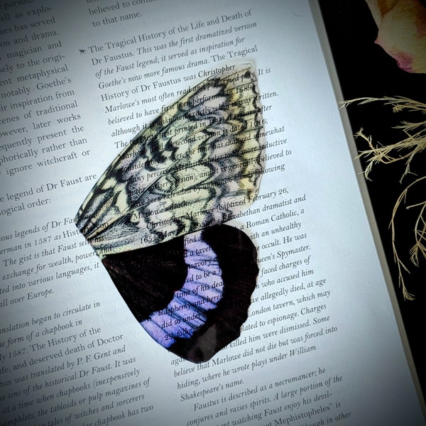 Clear Bookmark Vintage Butterfly Moth Wing Insect Bug Purple Gray Black Nature Goth Gothic Dark Academia Fairycore Cottagecore Witchcore
