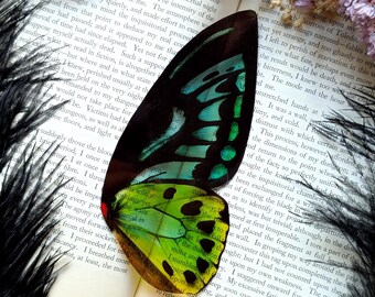 Clear Bookmark Vintage Illustration Green Birdwing Butterfly Moth Wing Insect Bug Handmade Art Book Reader Lover Gift Handmade Artist