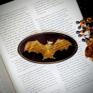 Clear Bookmark Bat Skeleton Gold Frame Victorian Baroque Goth Gothic Halloween Horror Creepy Oddities Unique Dark Weird