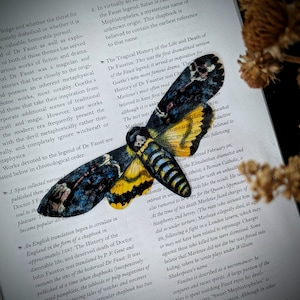 May include: A book about the legend of Dr. Faustus with a colorful, detailed illustration of a Death's-head Hawkmoth butterfly on top of the page. The butterfly has black, yellow, and blue wings with a skull and crossbones design.