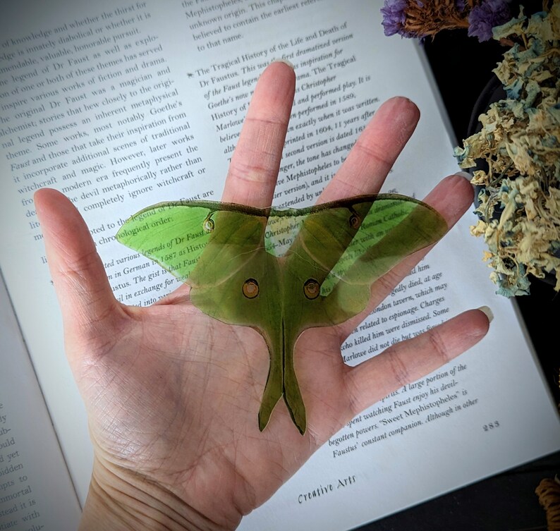 Clear Bookmark Green Luna Moth Goth Dark Academia Cottagecore Fairy Witch Nature Bug Insect Butterfly Handmade Artist Book Reader Lover Gift image 3