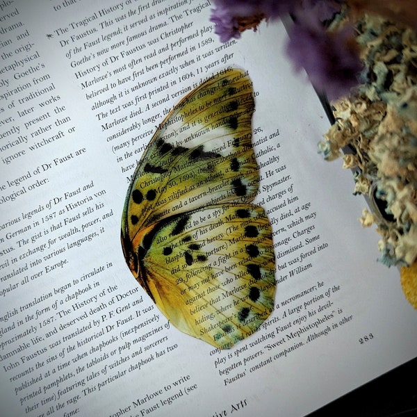 Clear Bookmark Vintage Butterfly Moth Wing Insect Bug Green Yellow Nature Dark Academia Fairycore Cottagecore Witchcore Handmade Art Gift