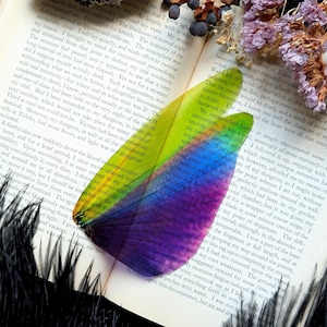 May include: A translucent, wing-shaped ornament featuring a vibrant gradient of yellow, green, blue, and purple, resting on an open book page. The ornament is surrounded by a dried honeycomb structure, small dark berries, and dried purple flowers.