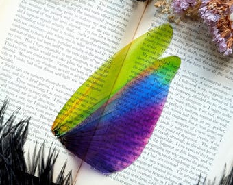 Clear Bookmark Purple-Winged Grasshopper Wing Titanacris Albipes Insect Bug South American Handmade Book Reader Lover Gift