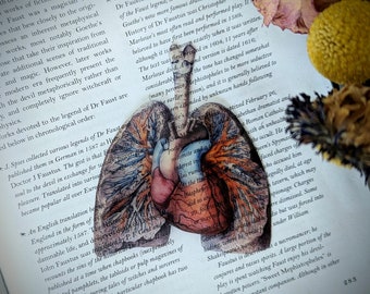 Clear Bookmark Anatomical Human Lungs Heart  Medical Anatomy Goth Gothic Halloween Horror Book Reader Lover Gift Vintage Illustration