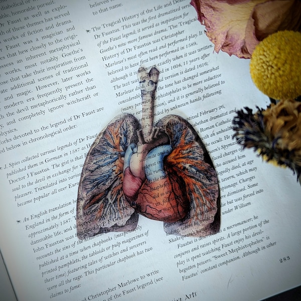 Clear Bookmark Anatomical Human Lungs Heart  Medical Anatomy Goth Gothic Halloween Horror Book Reader Lover Gift Vintage Illustration