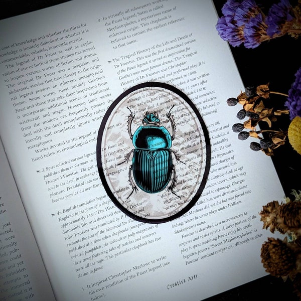 Clear Bookmark Turquoise Teal Beetle Bug Insect Illustration Lace Oval Frame Oddities Zoology Entomology Dark Academia Oddities Gift