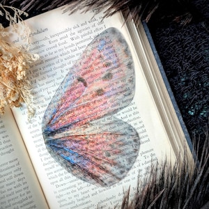 May include: An open book with text, featuring a colorful butterfly wing pressed between the pages. Dark feathers frame the book, adding a touch of elegance. The butterfly wing has shades of pink, blue, and purple.