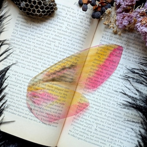 May include: An open book with printed text features a translucent, heart-shaped watercolor overlay in shades of yellow, orange, and pink. A dried honeycomb structure and sprigs of dried purple and blue flowers rest on the pages.