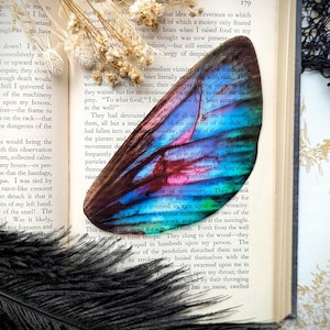 Clear Bookmark Fairy Wing Pretty Colorful Whimsical Nature Goth Gothic Dark Academia Fairycore Cottagecore Witchcore