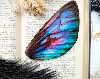 Clear Bookmark Fairy Wing Pretty Colorful Whimsical Nature Goth Gothic Dark Academia Fairycore Cottagecore Witchcore