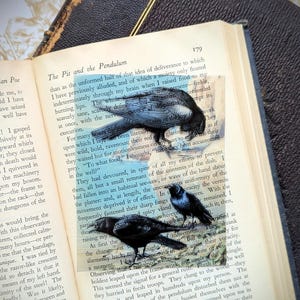 Clear Bookmark Vintage Illustration Raven Bird Corvid Dark Academia Cottagecore Handmade Artist Book Lover Reader Gift