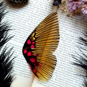 May include: A translucent butterfly wing with horizontal brown and gold stripes and a section of vibrant pink spots, resting on an open book page with printed text, surrounded by a dried honeycomb, dark berries, and purple dried flowers.