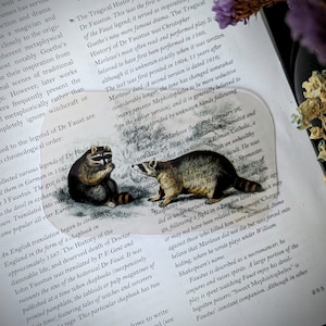 Clear Bookmark Vintage Illustration Raccoons Dark Academia Cottagecore Handmade Artist Book Lover Reader Gift