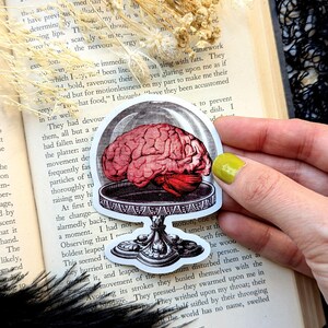 Vinyl Waterproof Sticker Brain Cake Stand Dome Fancy Dinner Dessert Meal Goth Creepy Witch Witchcraft Occult Horror Halloween Weird Dark Bild 2