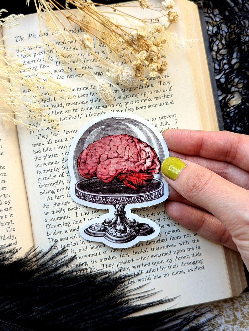 Vinyl Waterproof Sticker Brain Cake Stand Dome Fancy Dinner Dessert Meal Goth Creepy Witch Witchcraft Occult Horror Halloween Weird Dark Bild 2