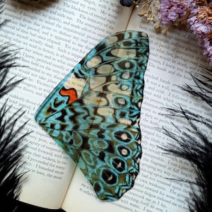 May include: A translucent butterfly wing ornament featuring a vibrant blue and black pattern with a small orange accent, resting on an open book page with printed text, surrounded by dried purple flowers and a dark honeycomb structure.