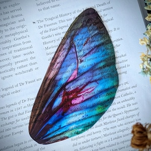 Clear Bookmark Fairy Wing Pretty Colorful Whimsical Nature Goth Gothic Dark Academia Fairycore Cottagecore Witchcore