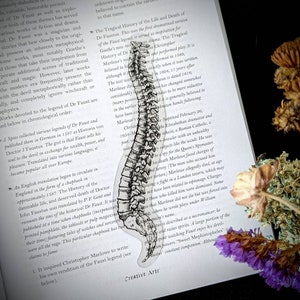 Clear Bookmark Spinal Cord Spine Skeleton Bone Bones Goth Gothic Halloween Horror Creepy Dark Academia Book Reader Lover Gift Handmade
