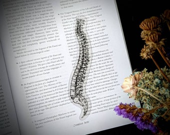 May include: A black and white anatomical illustration of the human spine, printed on a clear plastic bookmark. The bookmark is placed on an open book with text about the legend of Dr. Faust.