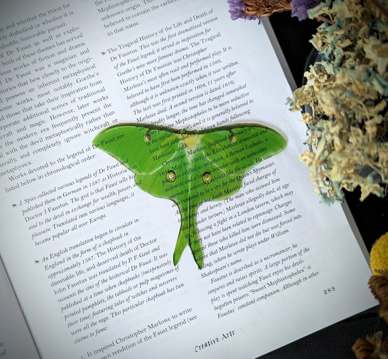 Clear Bookmark Green Luna Moth Goth Dark Academia Cottagecore Fairy Witch Nature Bug Insect Butterfly Handmade Artist Book Reader Lover Gift image 1