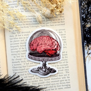 Vinyl Waterproof Sticker Brain Cake Stand Dome Fancy Dinner Dessert Meal Goth Creepy Witch Witchcraft Occult Horror Halloween Weird Dark