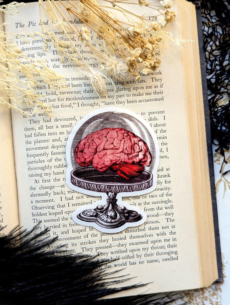 Vinyl Waterproof Sticker Brain Cake Stand Dome Fancy Dinner Dessert Meal Goth Creepy Witch Witchcraft Occult Horror Halloween Weird Dark Bild 1