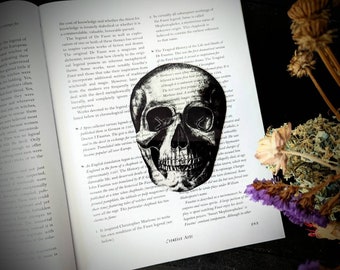 Clear Bookmark Human Skull Skeleton Goth Gothic Halloween Horror Creepy Spooky Anatomy Oddities