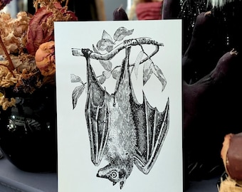 5x7 Art Print Vintage Illustration Zoological Hanging Bat Victorian Era Gothic Goth Halloween Home Wall Art Decor Gift