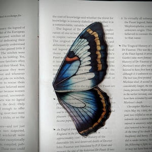 Clear Bookmark Vintage Butterfly Moth Wing Insect Bug Blue Yellow Purple Nature Dark Academia Fairycore Cottagecore Witchcore Handmade Art image 2