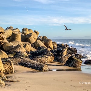 A Sunshine Walk at the Lighthouse