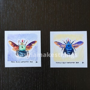 Carpenter Bee Prints - Mini 3 x 3 inch Limited Edition Watercolor Art Prints