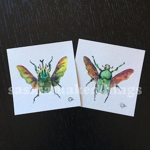 Flower Scarab Beetles - Mini 3 x 3 inch Original Watercolor Paintings