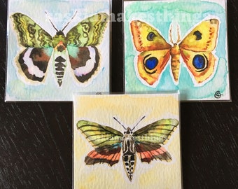 Blue Underwing, Sphinx Moth, Io Moth - Mini 3 x 3 inch Limited Edition Watercolor Art Prints