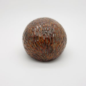 Ceramic hedgehog image 4