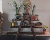A Frame Shelf Display Ladder Rustic Plant Stand