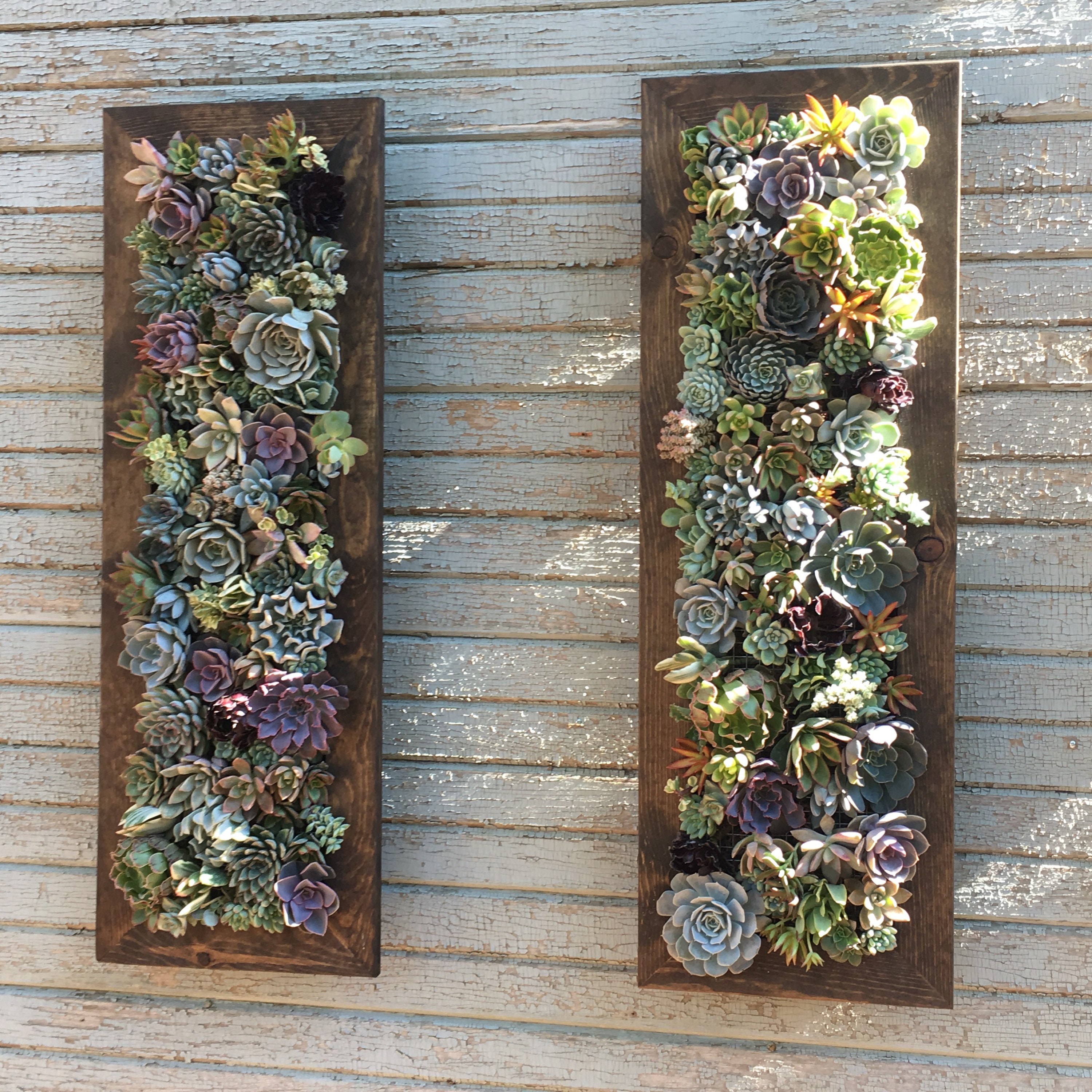 Vertical Garden 12 X36 Living Wall Planter Live Succulent Hanging Arrangement Flower Bouquet Wedding Housewarming Gift