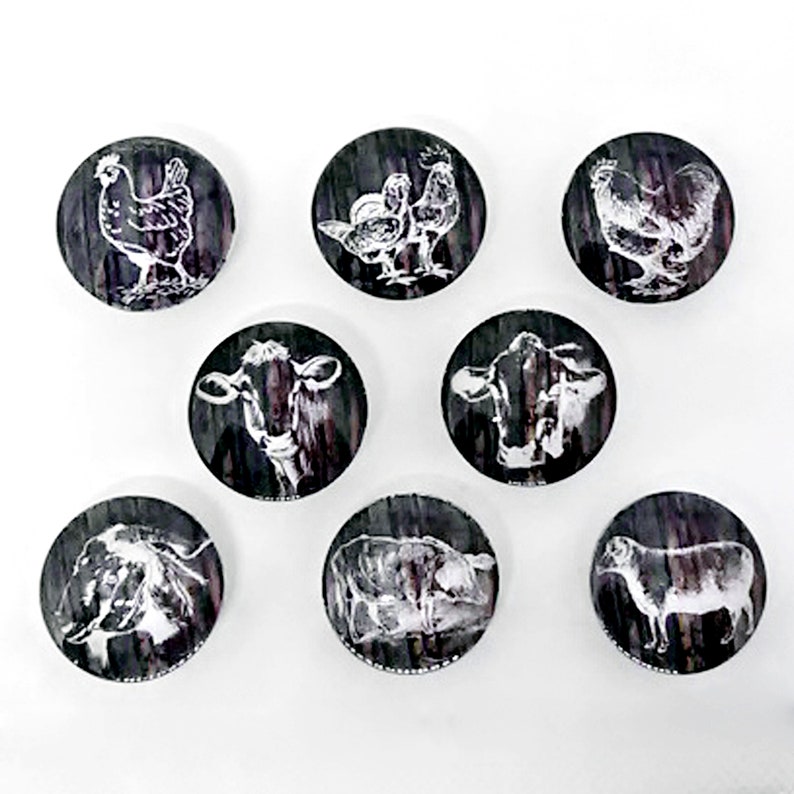 Rustic Farm Animal Magnets set of 8