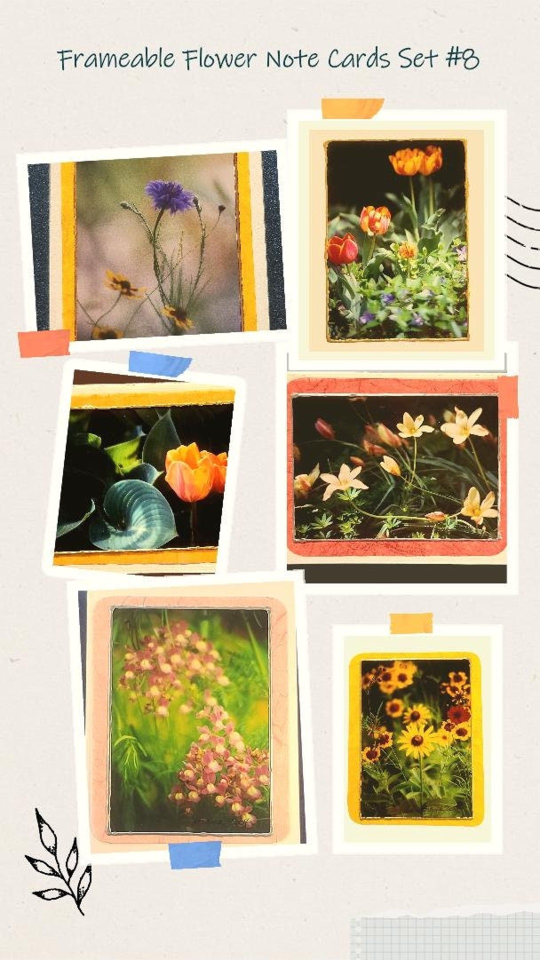Frameable Flower Photo Note Cards: Set of 6 With Envelopes - Etsy