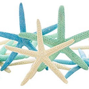 May include: A collection of starfish in various colors, including light blue, seafoam green, and off-white. The starfish are arranged in a pile, with some overlapping others. The background is plain white.