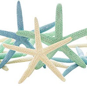 Starfish Decor 10 Blue Green & White Finger Star Fish 6 to 8in Starfish for Crafts White Starfish Wall Decor Beach Wedding Starfish