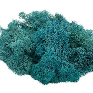 May include: A large pile of preserved teal green moss. The moss is soft and fluffy, and it would be perfect for adding a touch of nature to a craft project or home decor.