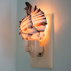 May include: A seashell night light, featuring a natural shell design with brown and white stripes. The night light is plugged into a white wall outlet, emitting a warm, orange glow. The shell is the focal point, creating a coastal or beach-themed ambiance.